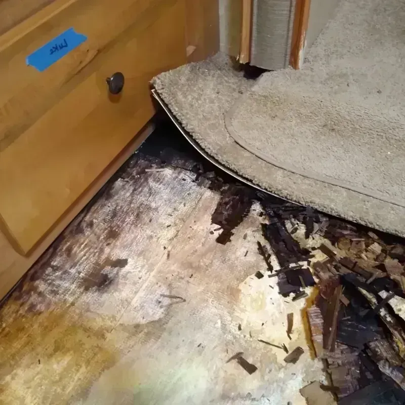 Wood Floor Water Damage in Flatonia, TX